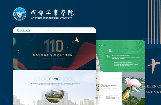 学校网站建设、教育网站建设、高端网站建设