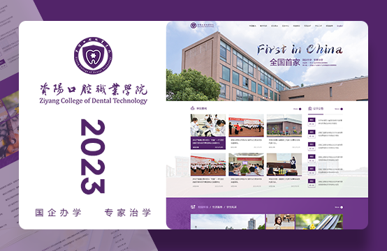 学校网站建设、教育网站建设
