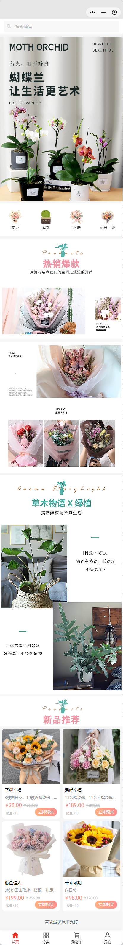 花卉绿植