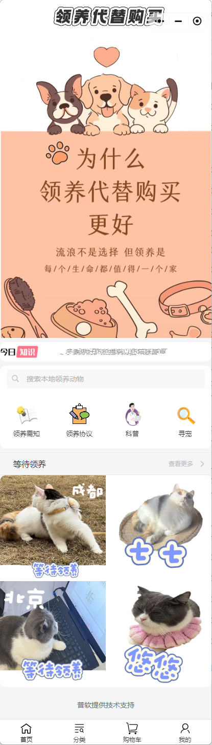 领养宠物